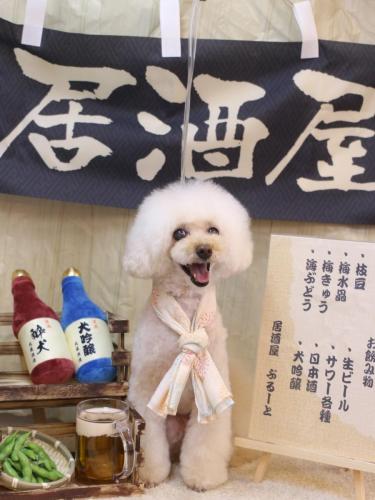 20240618ピッピちゃん